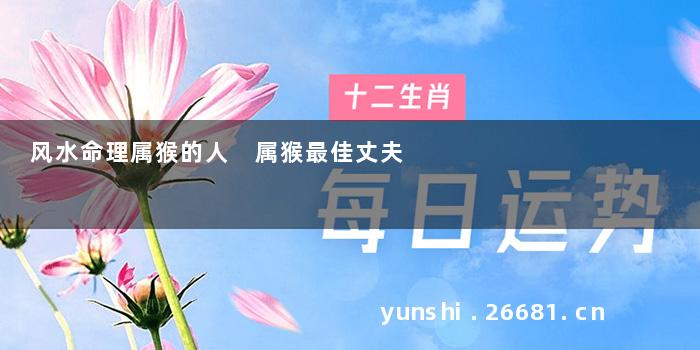 风水命理属猴的人 属猴最佳丈夫